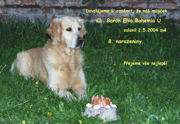 Ch. Baron Elva Bohemia U
