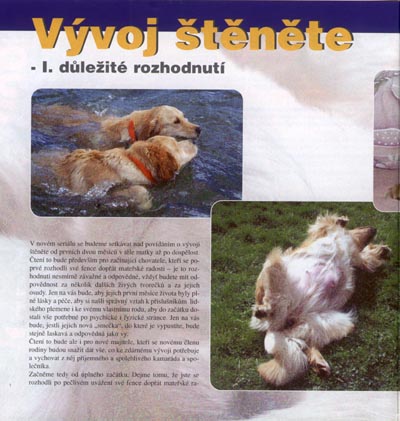 Svtem zvat 1-2.2002